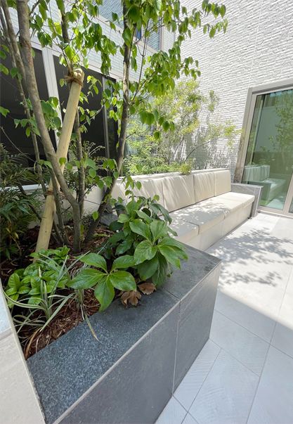 モダンガーデン4